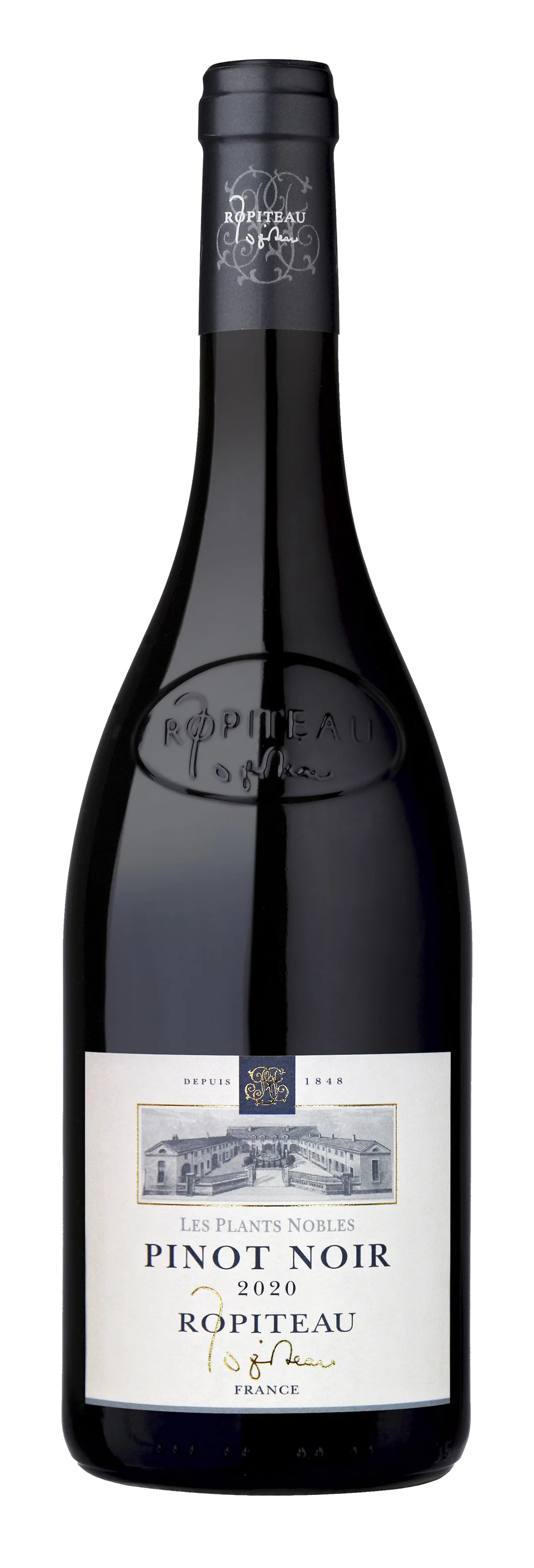 Pinot noir - Ropiteau - 75cl