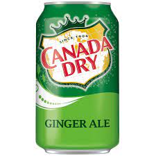Ginger Ale 33 cl